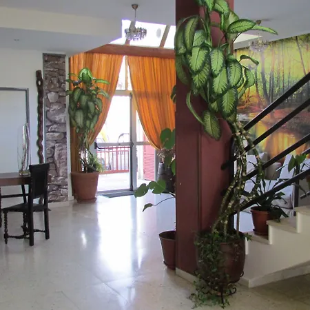 Hotel La Palmera 2*