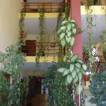 La Palmera